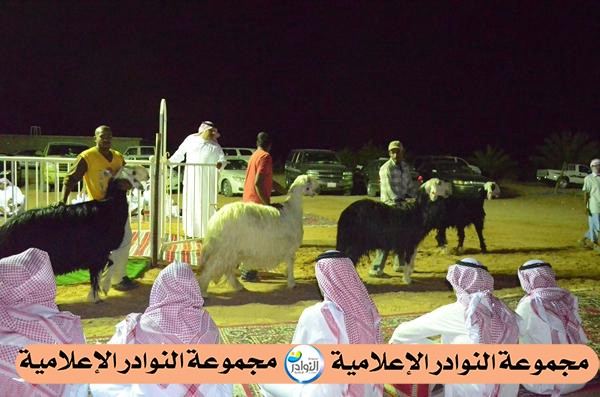 جلسة خاصة للمالك/عبدالله القرزعي بمناسبة زيارة مجموعه من مربي دولة الامارات